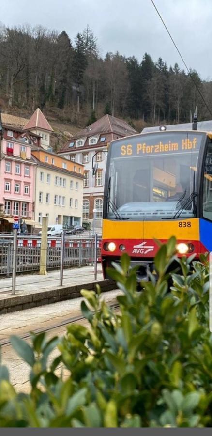 Gemuetliche Wohnung Im Zentrum Von Bad Wildbad Ngoại thất bức ảnh
